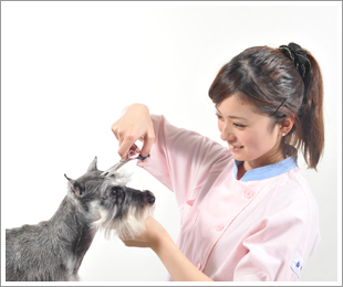 東京愛犬専門学校